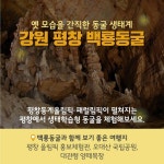 “앗~싸! 동굴탐험”…더위 탈출 동굴 명소 4곳