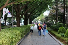 오늘 밤 청와대 앞길서 데이트 해볼까?