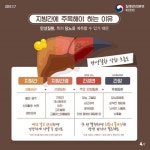 술 안마셔도 생기는 ‘지방간’…“설마 나도?”