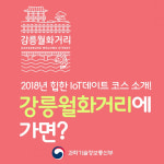 강릉 월화거리에서 즐기는 이색 데이트 코스