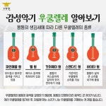 여름을 닮은 감성악기 ‘우쿨레레’ 알아보기