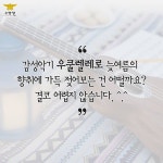 여름을 닮은 감성악기 ‘우쿨레레’ 알아보기