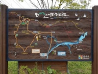 날것 그대로의 길, DMZ를 걷다