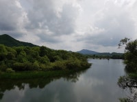 날것 그대로의 길, DMZ를 걷다