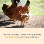 ‘아는 것이 힘이닭!’…닭고기 유통가격 공개
