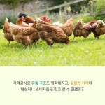 ‘아는 것이 힘이닭!’…닭고기 유통가격 공개