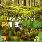 휴식이 있는 ‘전통마을숲’으로 떠나요~