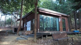 편백나무 숲서 유유자적 독서를~