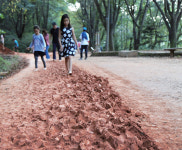 발가락이 좋아하는 여행, 대전 계족산 황톳길