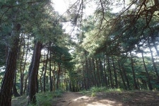 명품 트래킹 코스, 올림픽 아리바우길을 걷다