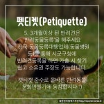 ‘펫티켓(Petiquette)’ 지켜주세요!