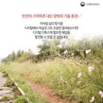 스마트폰 중독 피하려면?…‘디지털 디톡스’ 하세요