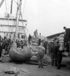 5일 무역의 날…기록으로 본 한국무역 발자취