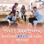반려동물 천만 시대…‘블루오션’으로 떠오르는 이색직업은?