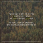 나무 이름에 숨겨진 비밀