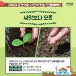 겨울에도 싱싱하게! 우리집 베란다 텃밭 가꾸기