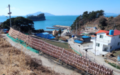 살구꽃마냥 복사꽃마냥 핑크빛 미기야, 고맙다
