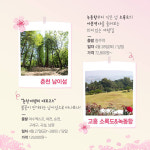 ‘봄바람 휘날리며~’ 인생샷 남겨줄 기차 여행지 TOP 8