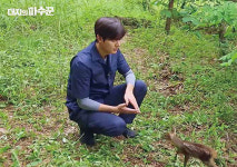 영화·방송·연극에 비친 판문점과 DMZ는?