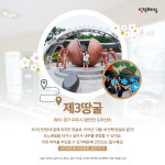판문점 가는 길로 봄나들이 어때요?