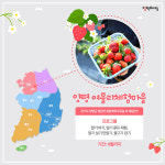 싱그러운 4월, 딸기 체험하러 가볼까?