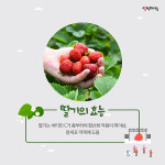 싱그러운 4월, 딸기 체험하러 가볼까?