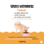 ‘우리 댕댕이도 비만?’…진단과 예방법