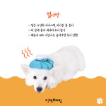 ‘우리 댕댕이도 비만?’…진단과 예방법