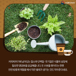 팔방미인 ‘커피 찌꺼기’의 화려한 변신