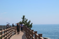 65년만의 귀환, 외옹치 해변