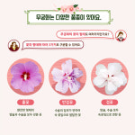 나라꽃 ‘무궁화’와 놀자