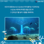 기상천외한 바닷속 정원, 이거 실화임?