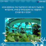 기상천외한 바닷속 정원, 이거 실화임?