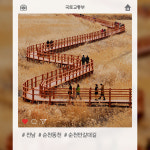 ‘막 찍어도 인생샷’…아름다운 우리 강 탐방로 100선