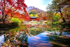 아무리 단풍이 아름다워도 이것만은 지켜주세요