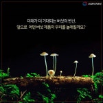 버섯이 미래다?