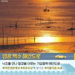 바닷길 펼쳐지는 국내 해안도로 BEST 5