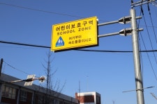 학교 앞에 오렌지 열리니, 교통사고가 뚝~