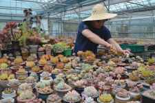 농업과 사랑에 빠진 20대 도시농부