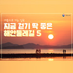 지금 걷기 딱 좋은 해안둘레길 5