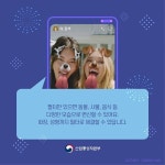 ‘아기얼굴 어플 써봤어?’…인싸들이 노는 법