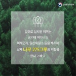 식물을 세로로 심는다고요?