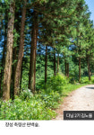 미세먼지 피해 떠나는 숲길 6곳