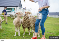 여름 제주 인생샷 명소 7곳