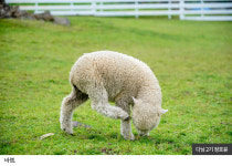 여름 제주 인생샷 명소 7곳