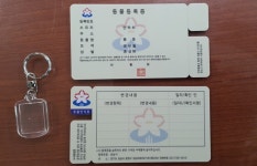 아이는 출생신고, 애견은 동물등록