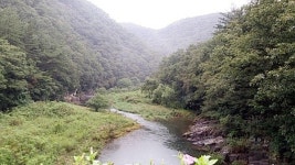 올 가을, 대숲 보러 국가정원에 가볼까?