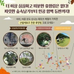 가을에 즐기기 딱 좋은 국립자연휴양림 어때요?