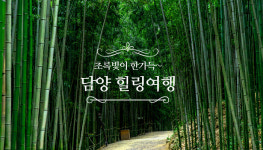 초록빛이 한가득~ 담양 힐링여행