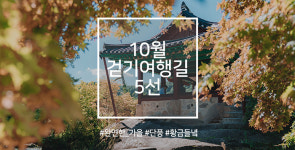 10월의 걷기여행길 5선, 아름다운 황금들녘 길